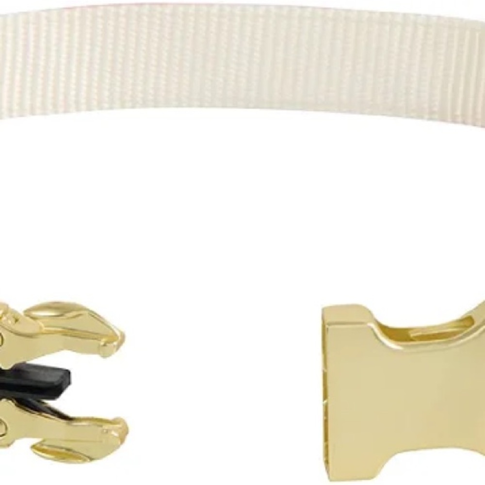 NWT TOP PAW DOG COLLAR Floral Yellow with Gold Paw Charm SMALL 9.5” - 14” NEW - Picture 6 of 10